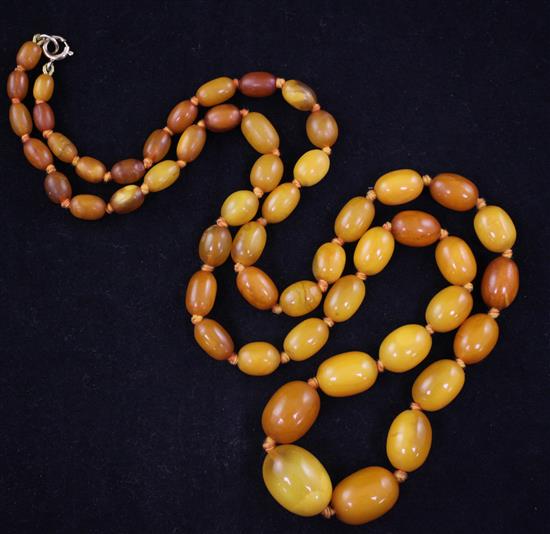 A single strand graduated oval amber bead necklace, 30in.